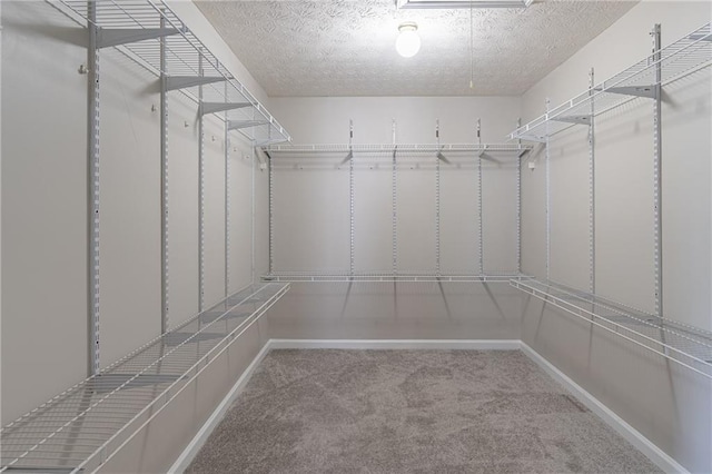 1241 Hogan Ridge Ct, Grayson, GA 30017 - walk in closet with carpet