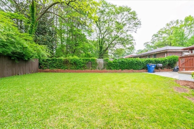 view of yard featuring a patio area