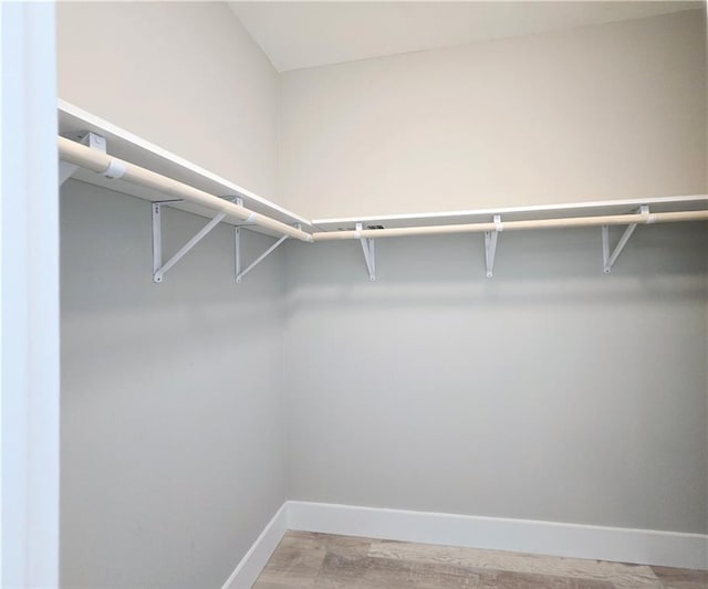 spacious closet featuring light hardwood / wood-style flooring