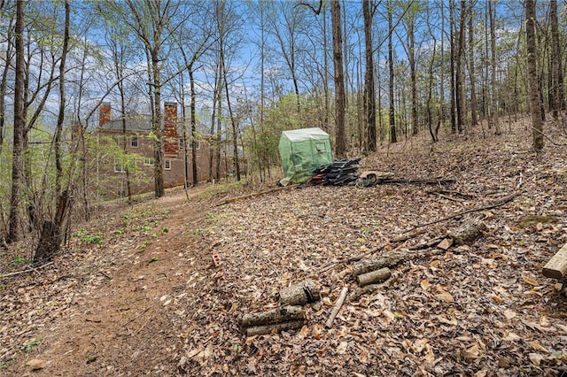 view of yard with a view of trees