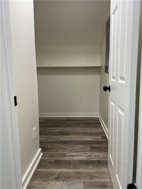 spacious closet featuring dark hardwood / wood-style floors