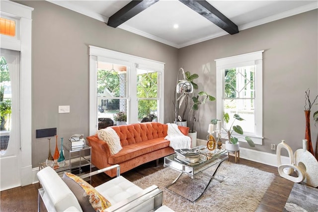 living area featuring wood finished floors, a healthy amount of sunlight, and beamed ceiling