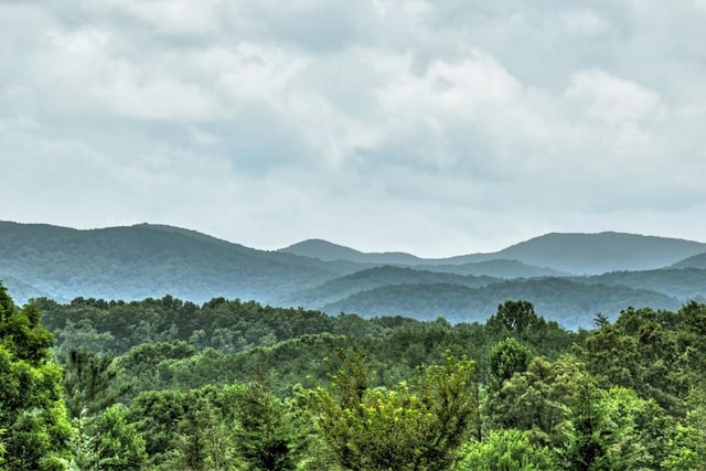 property view of mountains