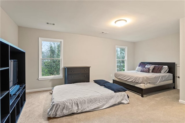 carpeted bedroom with multiple windows