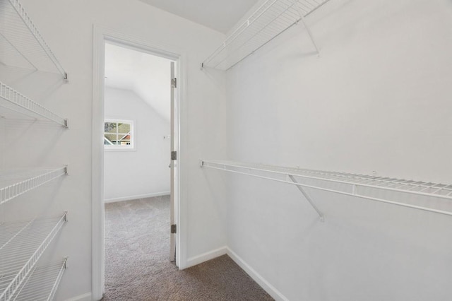 walk in closet featuring carpet flooring and vaulted ceiling