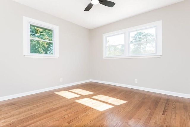 empty room with ceiling fan, a healthy amount of sunlight, and wood-type flooring