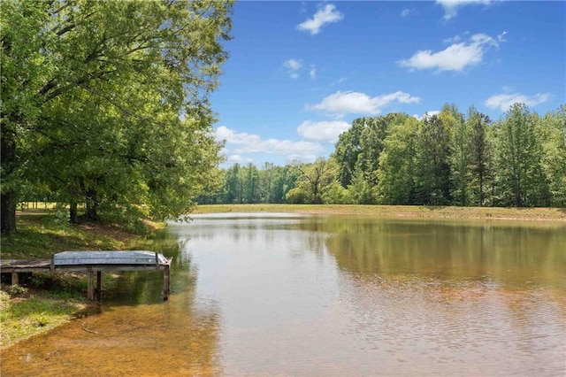 property view of water featuring a wooded view