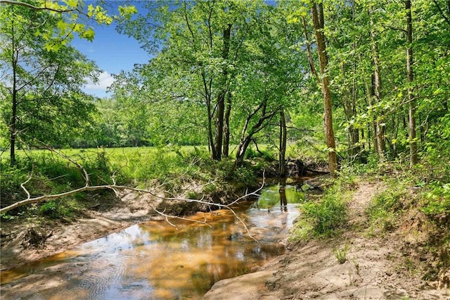 view of nature