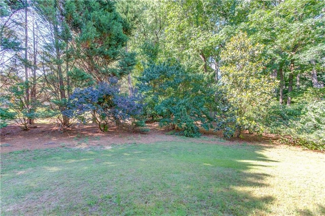 5115 Amberden Hall Dr, Suwanee, GA 30024 - view of grassy yard