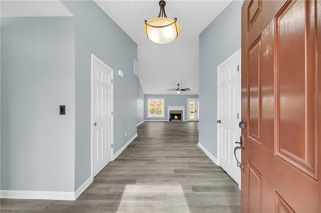 entrance foyer featuring ceiling fan and light wood-type flooring