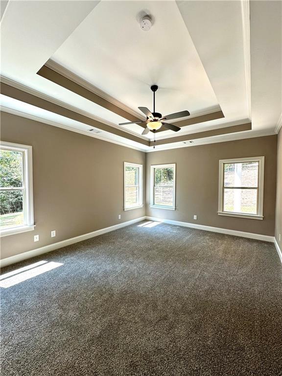 unfurnished room with a wealth of natural light, a raised ceiling, crown molding, and baseboards