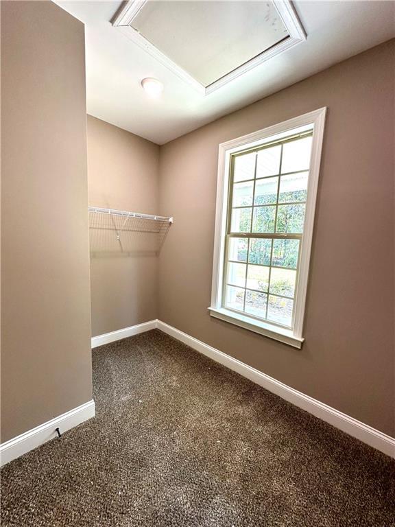 walk in closet with carpet and attic access