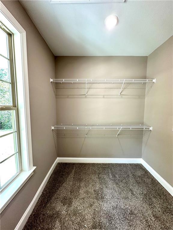 walk in closet with carpet flooring