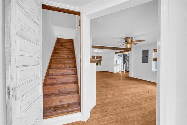 stairway with hardwood / wood-style floors, electric panel, and ceiling fan