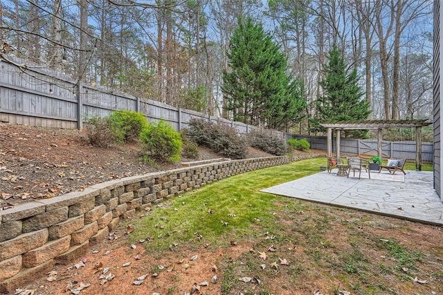 view of yard featuring a pergola and a patio area