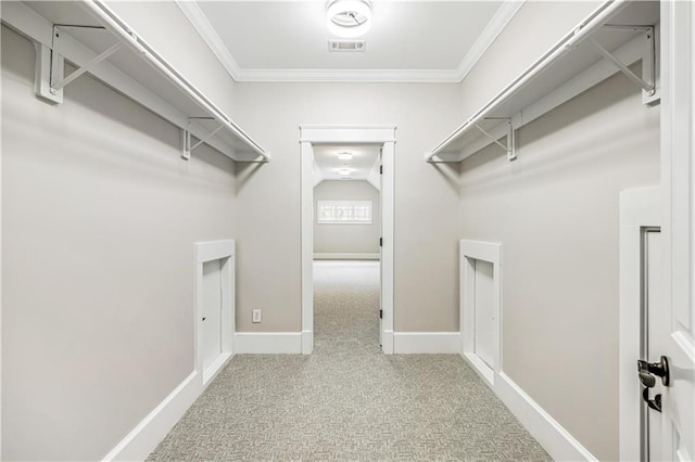 walk in closet featuring carpet and visible vents