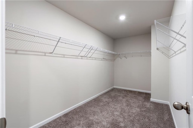 spacious closet with carpet flooring