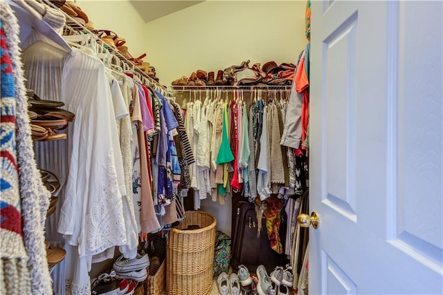 view of spacious closet