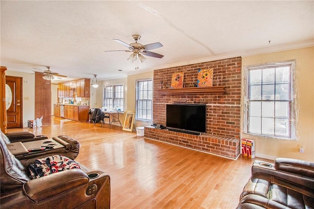 living room featuring light wood-type flooring, a fireplace, a ceiling fan, and crown molding
