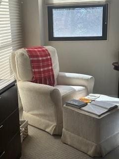 sitting room with carpet