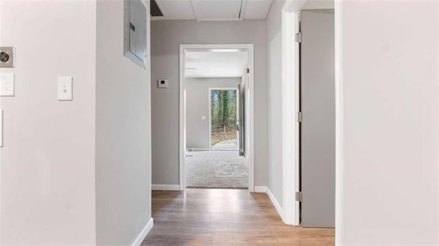 hall featuring baseboards and light wood-style flooring