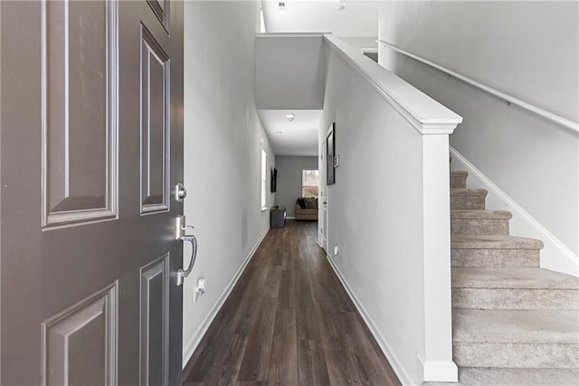 foyer entrance featuring dark hardwood / wood-style floors