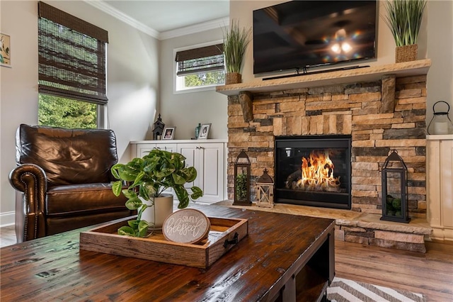 4305 Hunters Walk Way, Cumming, GA 30028 - sitting room featuring wood finished floors, a stone fireplace, and ornamental molding
