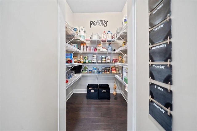 2385 Saddle Brook Trce, Cumming, GA 30040 - view of pantry