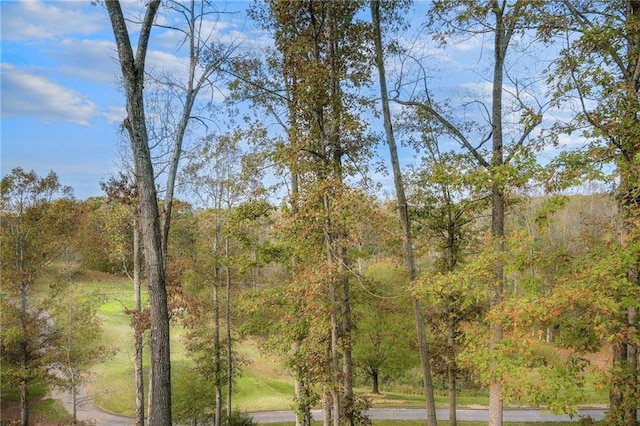 view of local wilderness with a wooded view