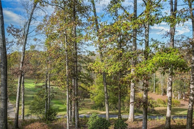 view of local wilderness