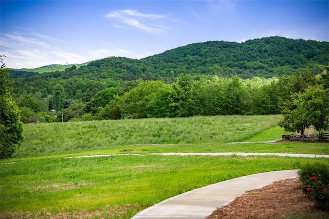 2462 New Hope Rd, Morganton, GA 30560 - view of mountain background with a heavily wooded area and rural landscape