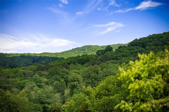 2462 New Hope Rd, Morganton, GA 30560 - view of mountain background featuring a heavily wooded area