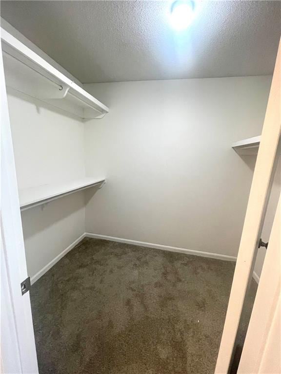 spacious closet featuring dark colored carpet