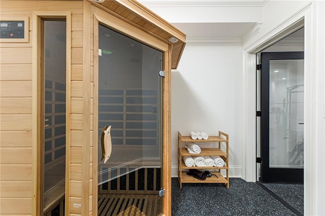 view of sauna / steam room featuring carpet