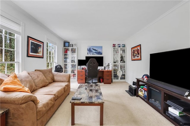 carpeted living room with ornamental molding