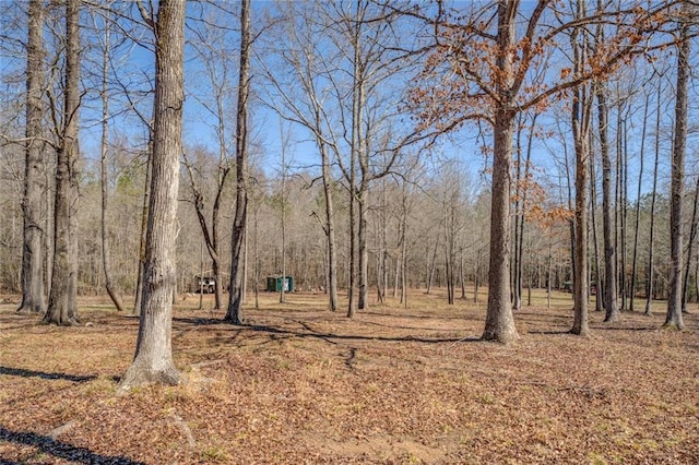 view of yard with a wooded view