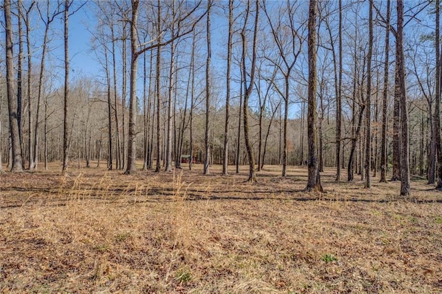 view of local wilderness with a wooded view