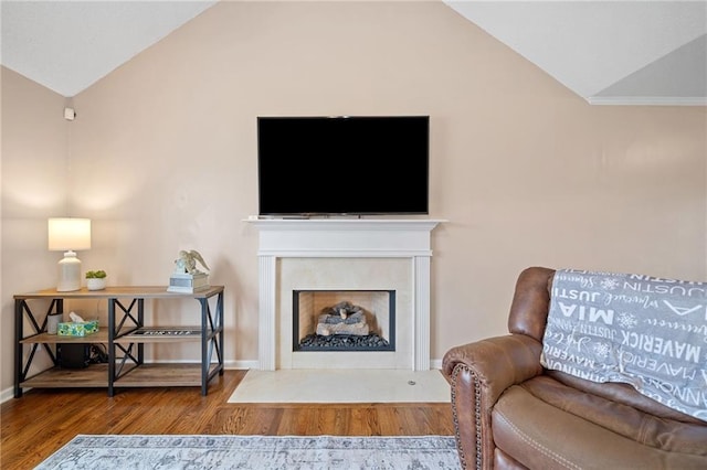 173 Cline Smith Rd NE, Cartersville, GA 30121 - living room with vaulted ceiling, wood finished floors, and a fireplace with flush hearth