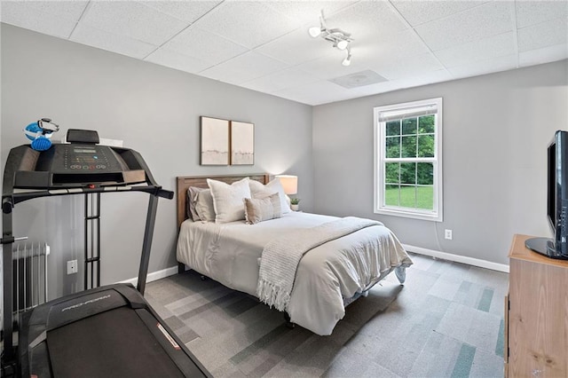 173 Cline Smith Rd NE, Cartersville, GA 30121 - carpeted bedroom featuring baseboards