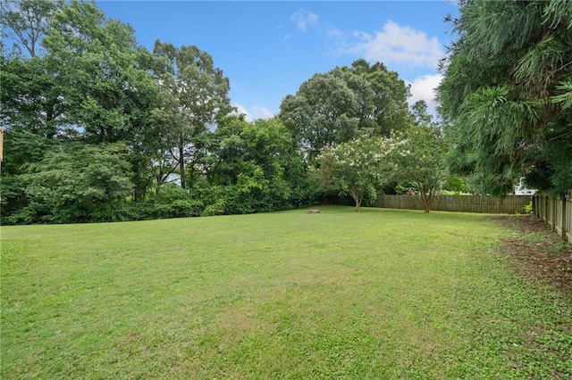173 Cline Smith Rd NE, Cartersville, GA 30121 - view of yard