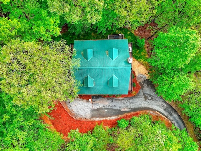 bird's eye view
