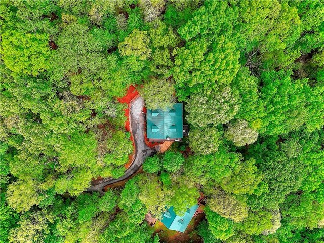 bird's eye view