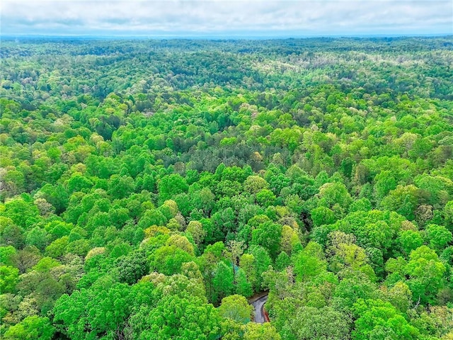 aerial view with a forest view