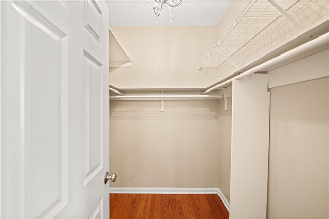 spacious closet with wood-type flooring