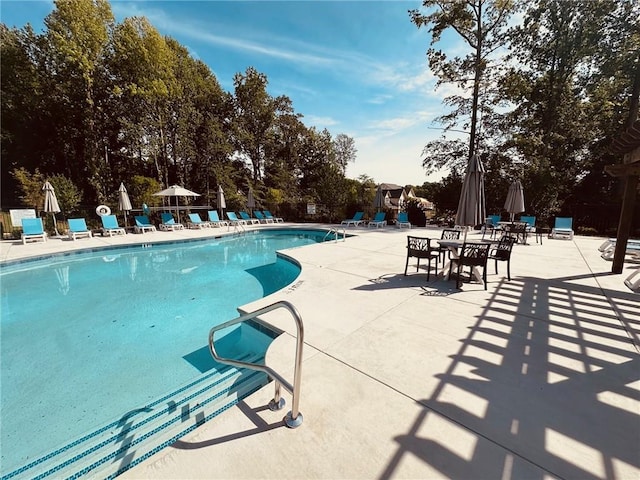 view of swimming pool with a patio