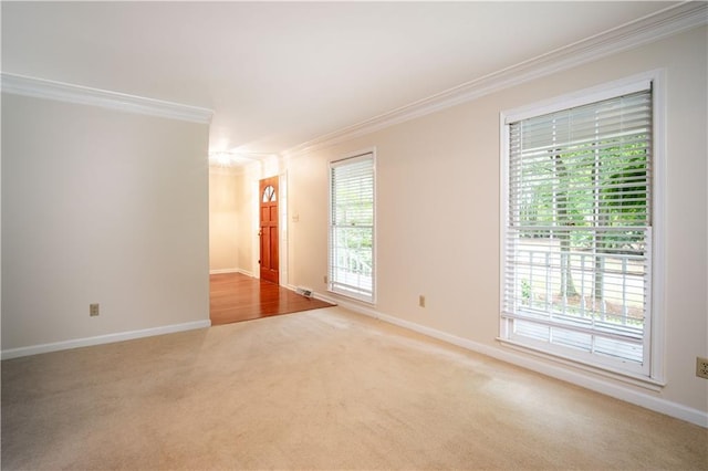 carpeted empty room featuring ornamental molding and a healthy amount of sunlight