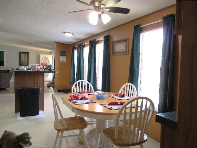 dining room with ceiling fan, a textured ceiling, and a healthy amount of sunlight