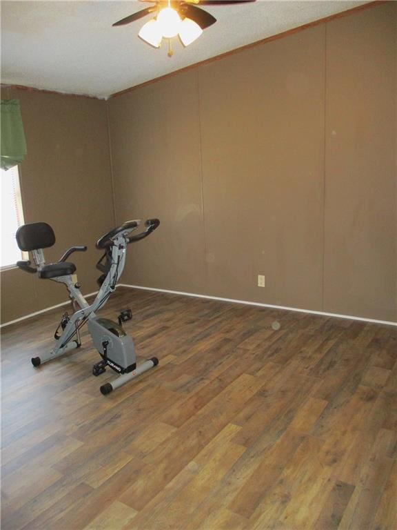 exercise area featuring hardwood / wood-style flooring and ceiling fan