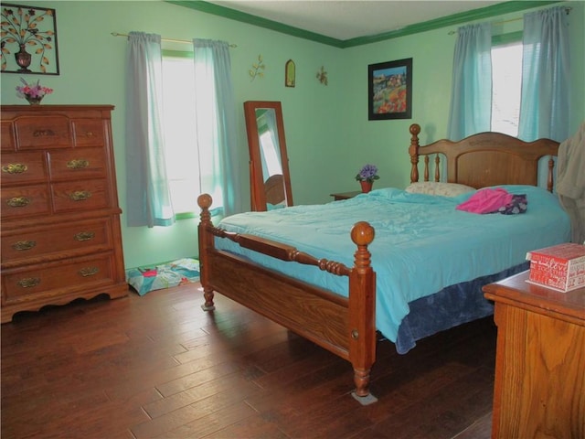 bedroom featuring multiple windows, dark wood-type flooring, and ornamental molding