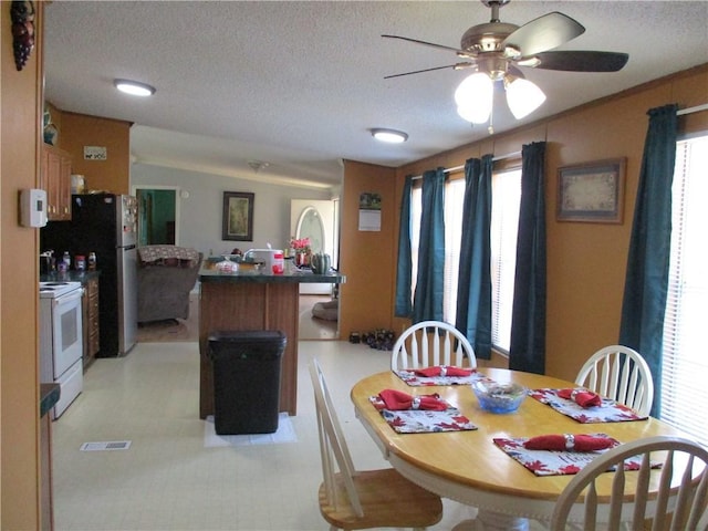 dining room with ceiling fan, a wealth of natural light, and a textured ceiling